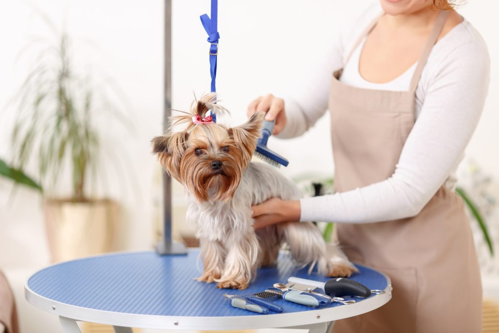 Grooming for Dogs Driffield, East Yorkshire,