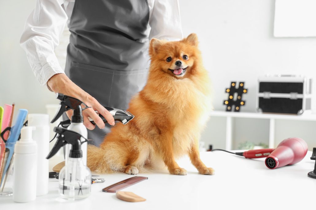 Luxury Dog Grooming East Yorkshire Spa Treatment