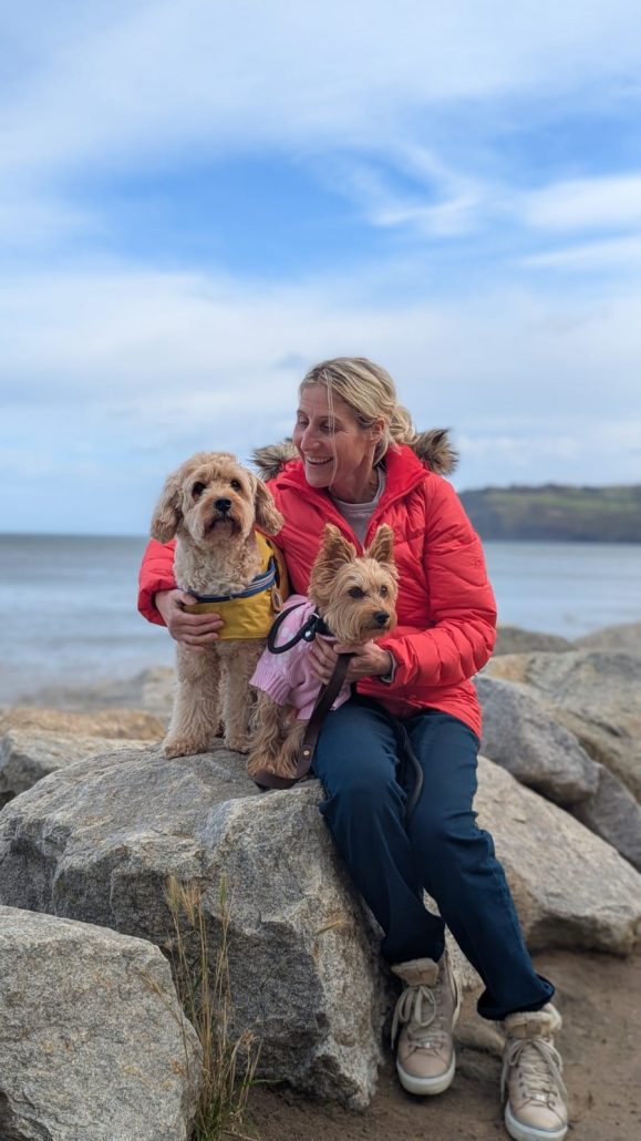 Puppy Grooming in Bridlington YO16