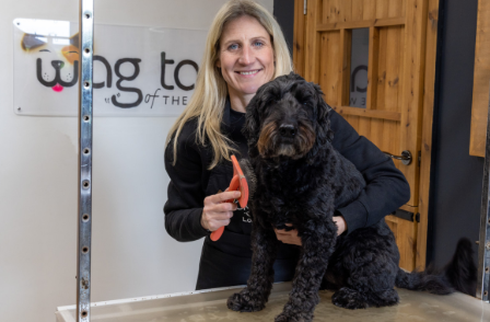 dog dematting Bridlington de-matting package Bridlington YO15 YO16 gentle grooming