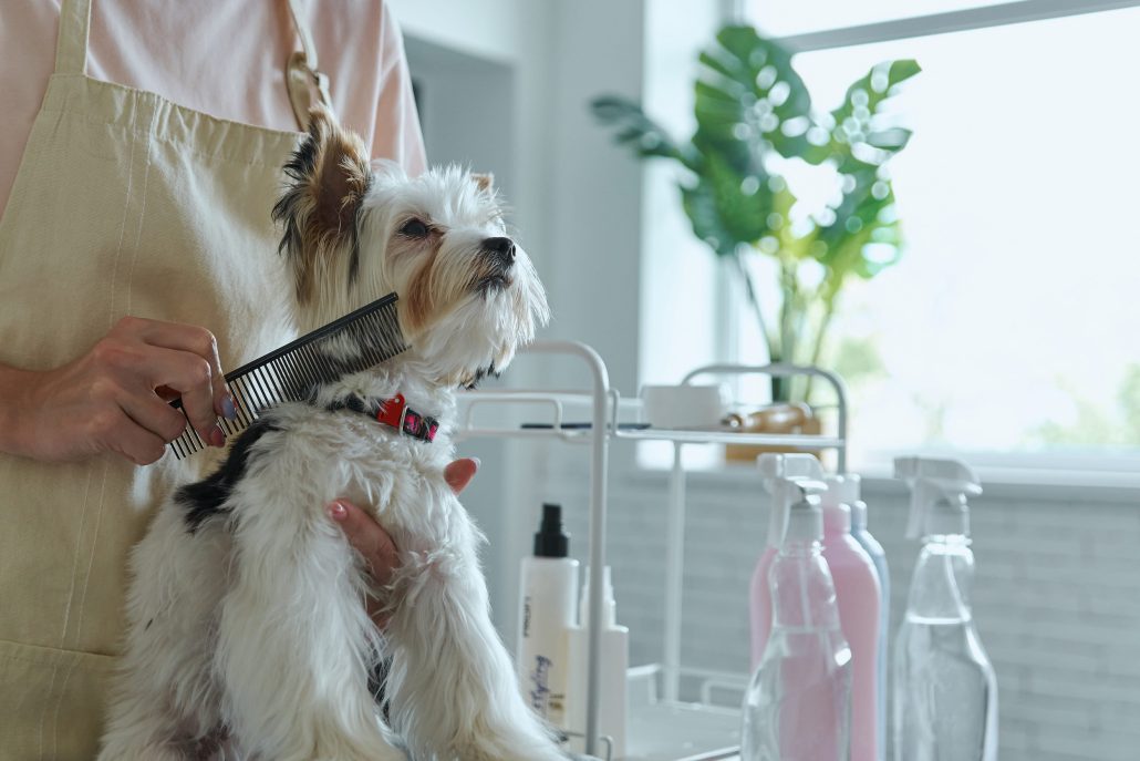 Dog groomers near Pocklington providing dog spa grooming in Pocklington