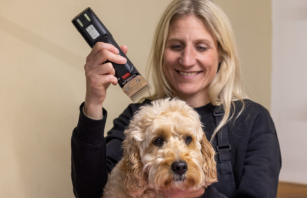 Reactive dog grooming for anxious dogs during a calm session