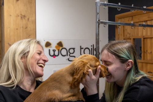 Dog Teeth Cleaning East Yorkshire with Emmi-Pet Teeth Cleaning in York, Hull and Bridlington