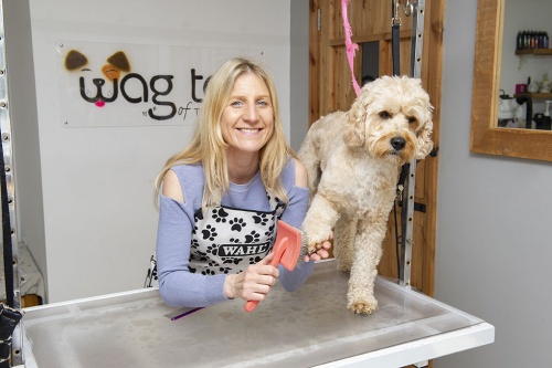 Dog Teeth Cleaning East Yorkshire with Emmi-Pet Teeth Cleaning in York, Hull and Bridlington